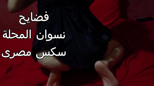 سكس عربي – شرموطة مصرية طيزها عريضة وعايزة تتناك بقوة
